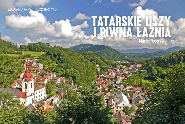 Losowy darmowy artykuł